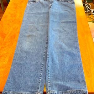 BLUE WILLI’S 5 Pocket Jeans